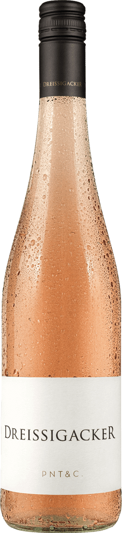 Dreissigacker Pino_ & Co. Rosé 2021