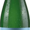 Spreitzer Riesling  halbtrocken VDP.Gutswein 1 Liter 2020