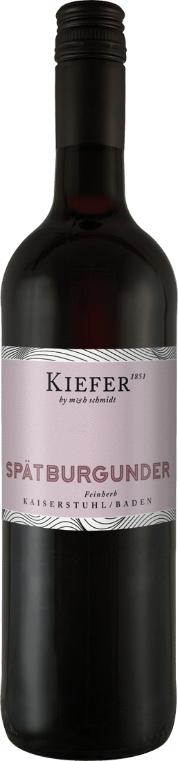 Kiefer Spätburgunder feinherb 2019