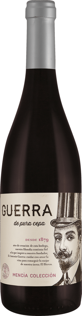 Vinos del Bierzo Mencía Roble D.O. 2017