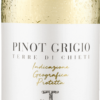 Tollo Pinot Grigio Terre di Chieti IGP 2022
