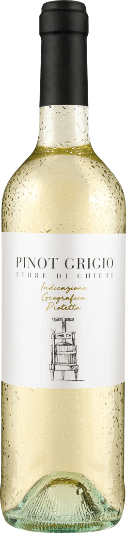 Tollo Pinot Grigio Terre di Chieti IGP 2022