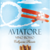 Torrevento Aviatore Collezione Privata Puglia Rosso