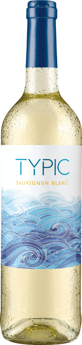 Domaine de Cambos TYPIC Sauvignon Blanc 2021