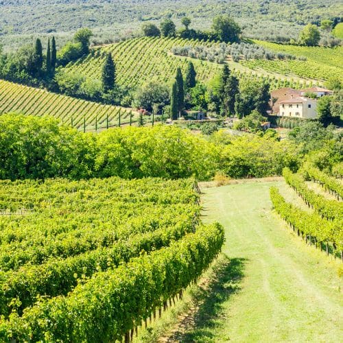Italienischer Wein Startseite