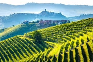 Einführung in die Weinwelten Italiens: Dolcetto, Falanghina und Aglianico