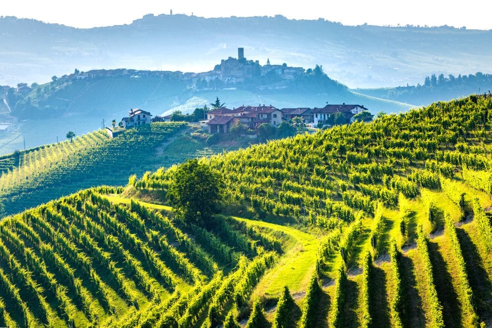 Einführung in die Weinwelten Italiens: Dolcetto, Falanghina und Aglianico